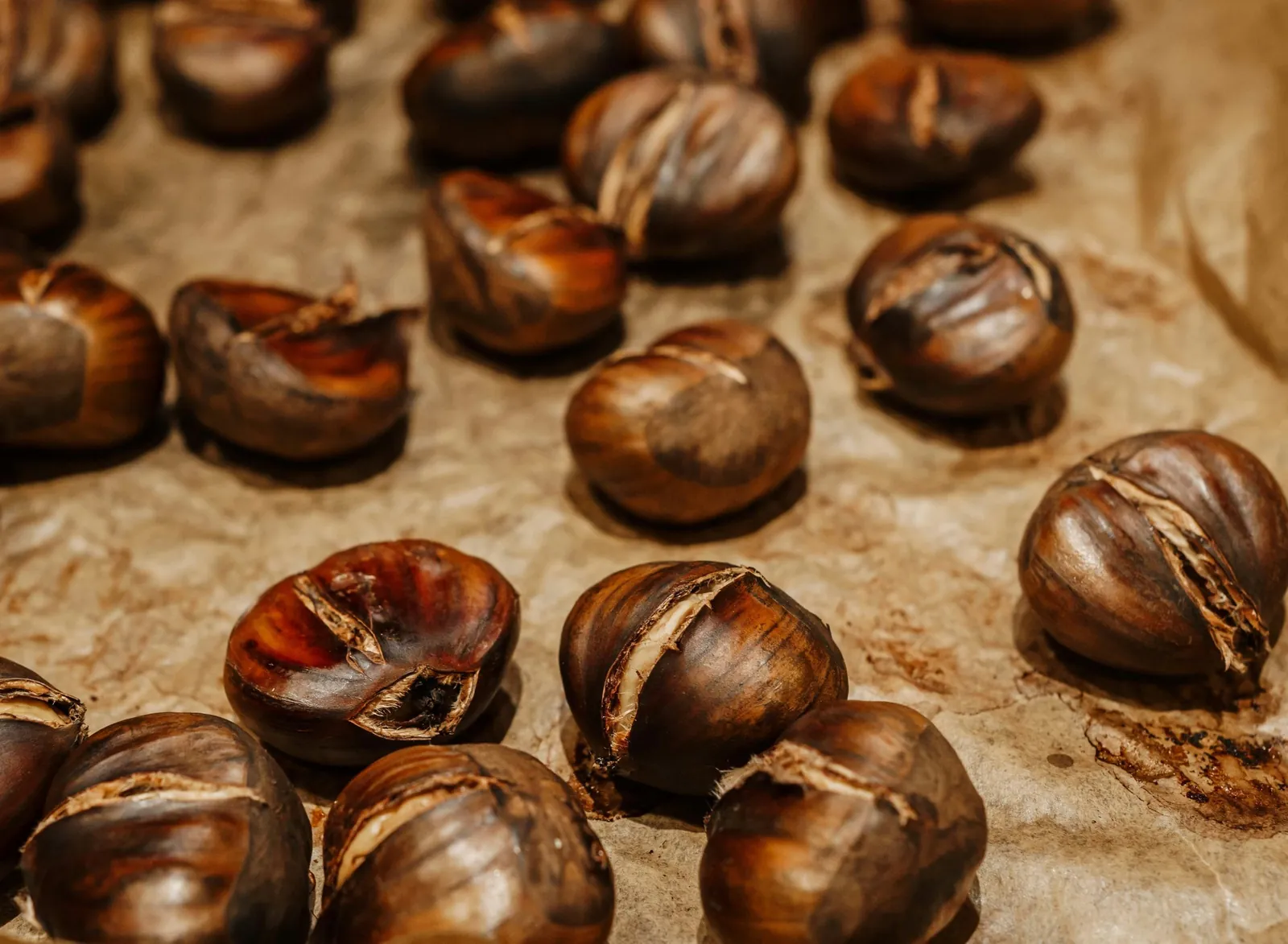 Oven-roasted chestnuts for a St Martin's Day magusto in the Algarve