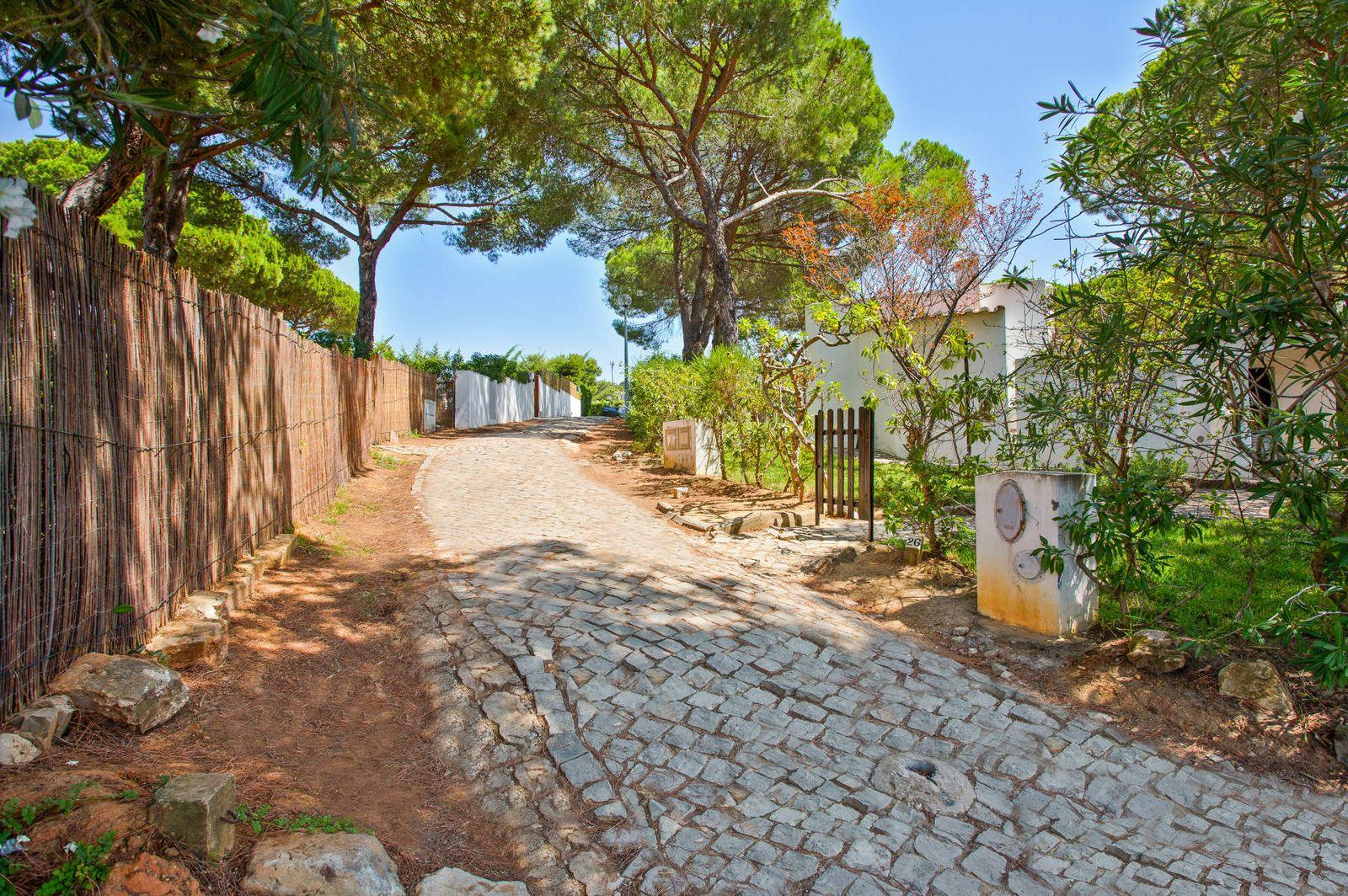 Caminho em calçada até à casa, entre pinheiros