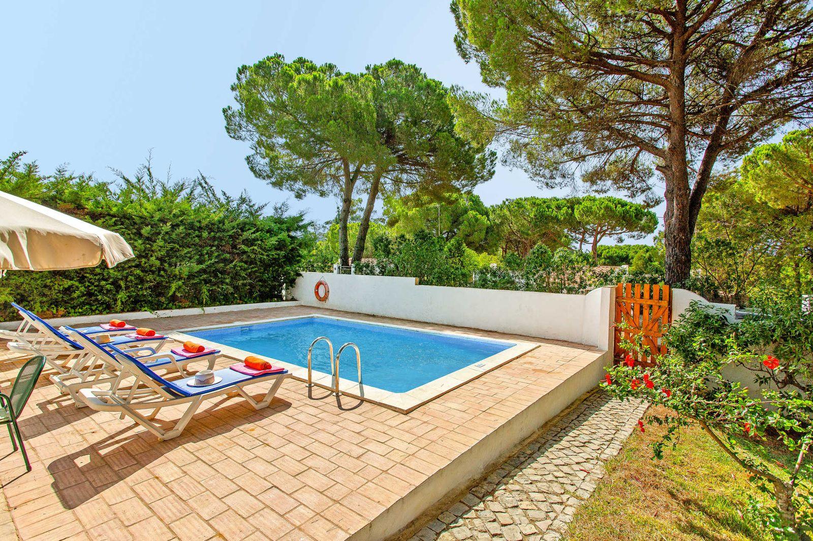 Piscina privada entre pinheiros